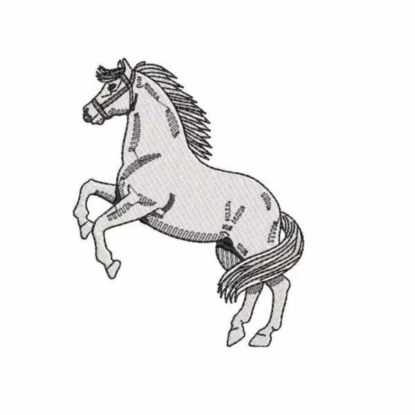 Matriz de bordado - Cavalo 021